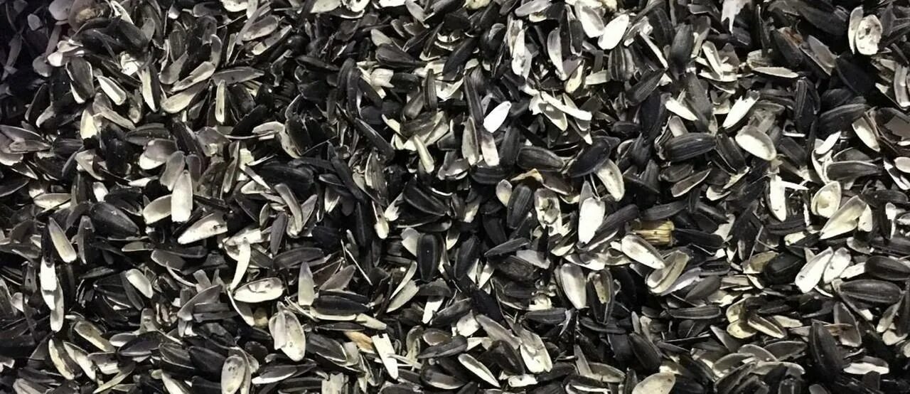 Дробилки для лузги подсолнечника. Лузга семечек. Отсев семечка. Дробленая лузга подсолнечника. Лузга подсолнечника кагат.