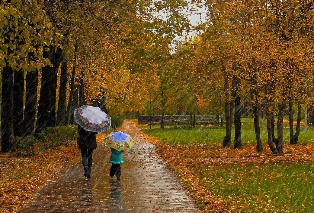 Дождь и ветер. 1 октября дождь. 1 октября дождь. Лужи осенью. 1 октября дождь.