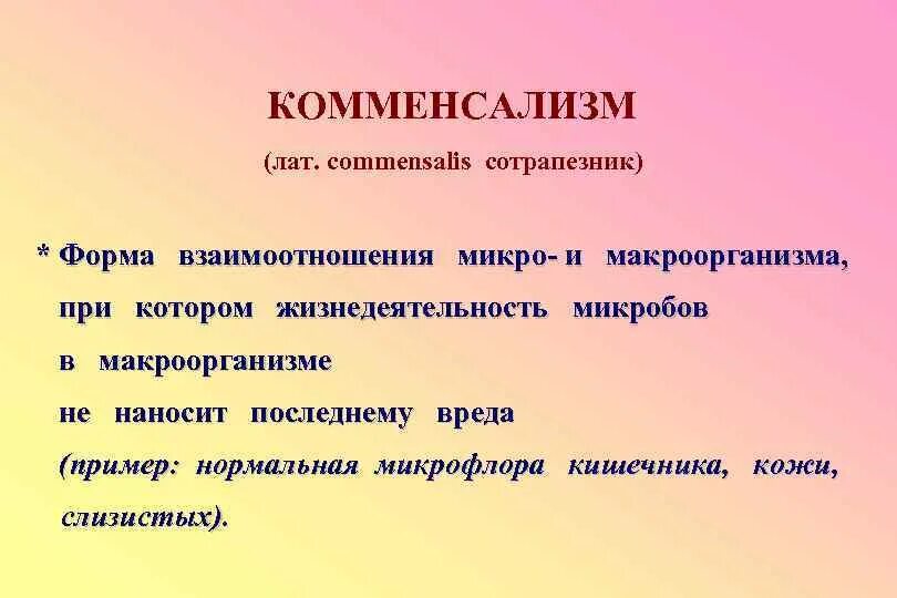 Формы взаимодействия микро и макроорганизма. Комменсализм примеры. Комменсализм микроорганизмов примеры. Комменсализм примеры микробиология. Комменсализм микробиология.