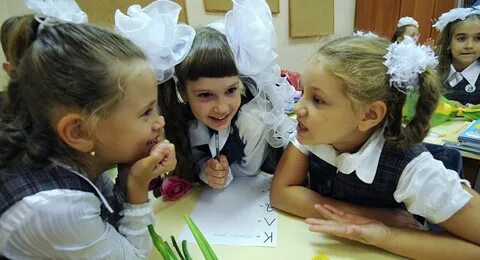 Какие бывают школьные