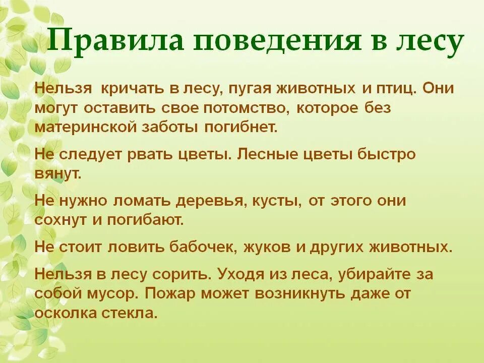 Безопасное поведение в лесу 3 класс. Правило рлвидение в лесу. правила поведения в лесу. правила поведения в дему. правила поведения влему.