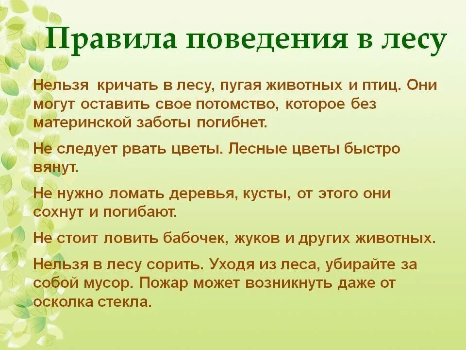 Правила поведения в природе 2 класс. Памятка поведения в лесу 2 класс окружающий. ПРАВИЛАПОВЕДЕНИЕ В лесу. Правило рлвидение в лесу. Правила поведения в Дему.