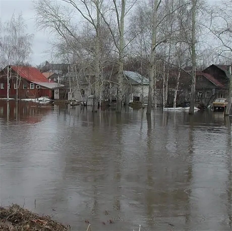 Паводок ульяновск. Наводнения, половодья, паводки, затопления. Разлив рек в Брянске. Паводок поселок Желнино. Наводнение на реке.