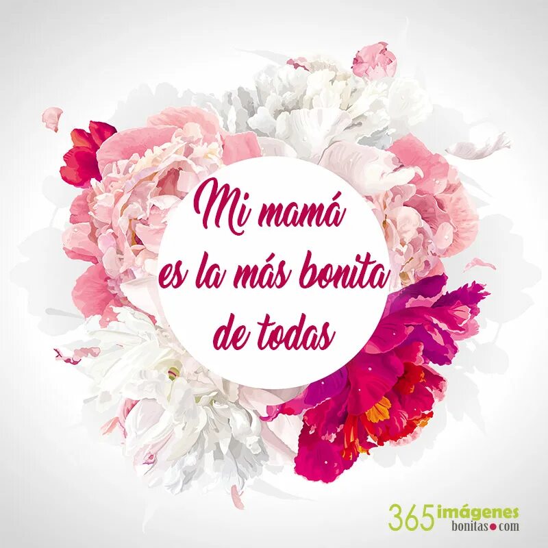 Открытки feliz dia de la madre. Le mama de la mama. Le mama de la mama. День матери в испании. Happy mothers day открытки.