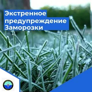 В июне ожидаются заморозки