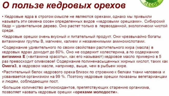 Польза кедровых орехов для мужчин