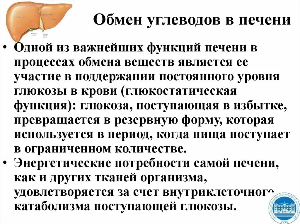 Углевод в печени человека. Особенности обмена углеводов в различных тканях. Углеводный обмен в печени. Особенности обмена углеводов в сердце. Содержание гликогена в печени увеличивается при.