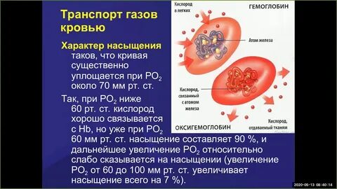 Транспорт газов кровью