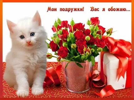 Фото любимому другу