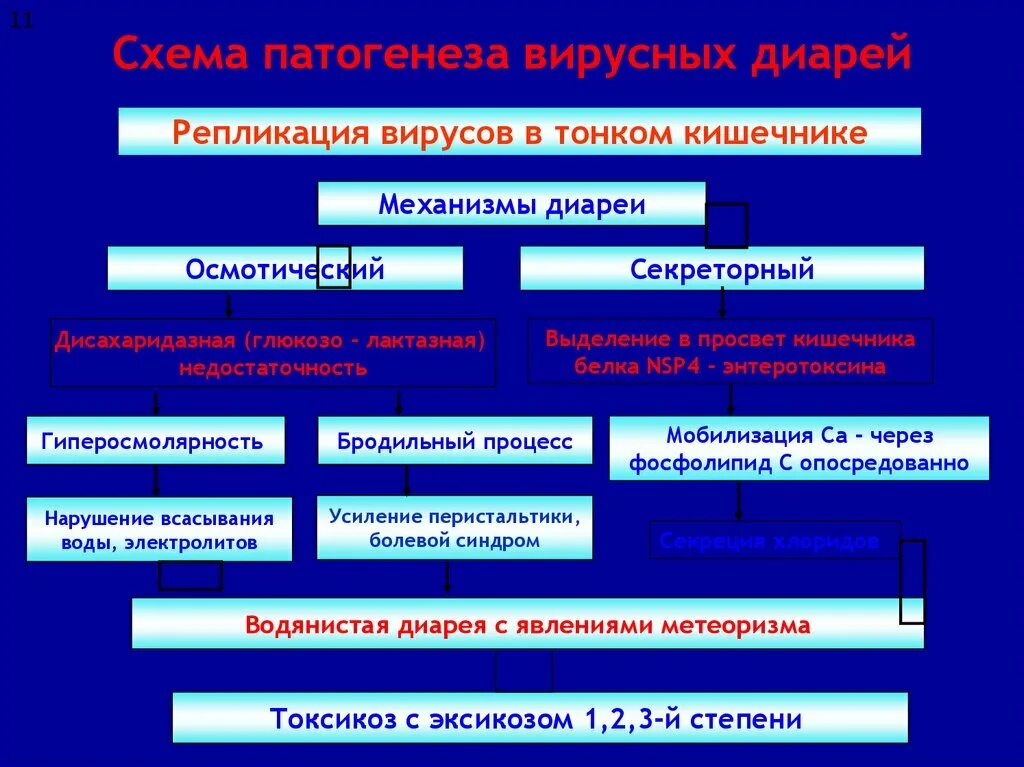 Механизмы формирования диареи. Секреторная диарея патогенез. Механизмы развития диареи. Патофизиология классификация диареи. Патогенез гиперосмолярной диареи.
