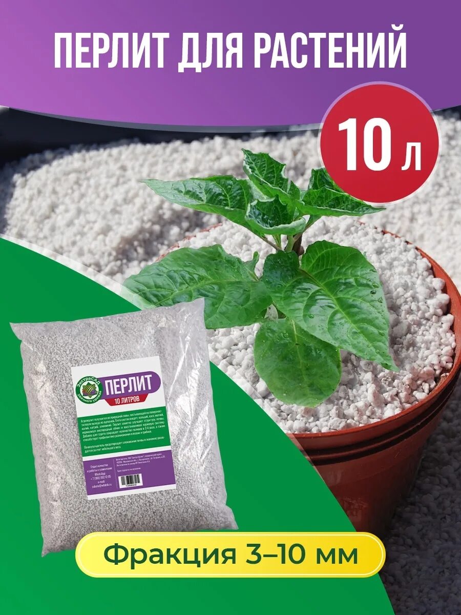 Перлит 2л. Что такое перлит для растений. Дренаж перлит 2 л. Субстрат сады аурики перлит 0. Перлит вермикулит разница.