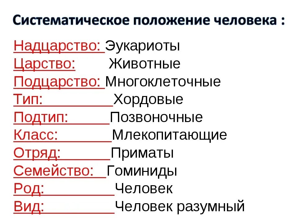 Презентация " Подготовка к ВПР по биологии 8 класс. Морфологическое и систематич