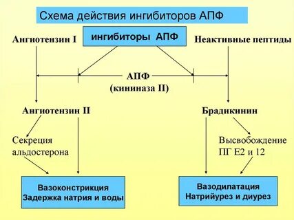 Ингибиторы апф действие