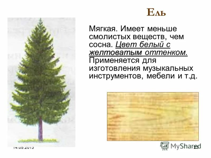 Мебели из бакаутового дерева. Black bubinga шпон. Все породы деревьев смолистых. Шпон ценных пород дерева. Изделия из дерева.