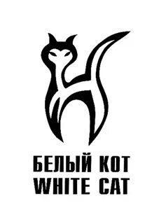Фирма кот