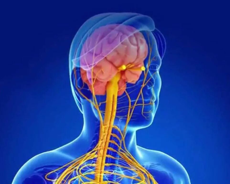 Растерянный склероз. Разновидности рассеяногосклероза. Причины рассеянного склероза. Рассеянный множественный склероз. Рассеянный множественный склероз.