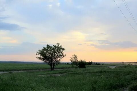 Криволучье сура