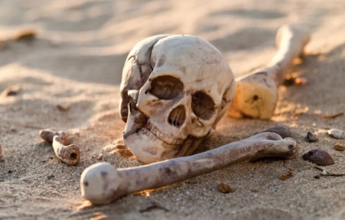Dry bones. Dry bones mario.