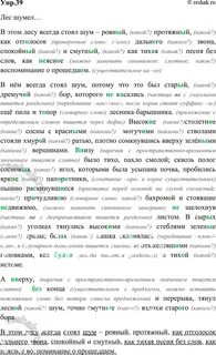Упр 372 по русскому языку 6