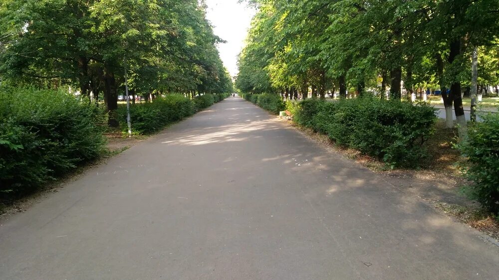 Октябрьский бульвар д 3 королев. Бульвар королева 1. Бульвар королева 1. Тольятти бульвар королева аллейка. Королев ул октябрьский бульвар 14.