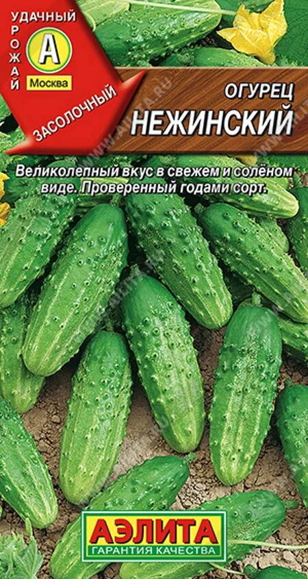 Огурец нежинский отзывы фото Купить Семена Огурец "Нежинский" Марс Цветной Ц в интернет-магазине РУТРУМ. Дост