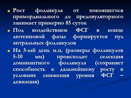 Фолликулы по дням