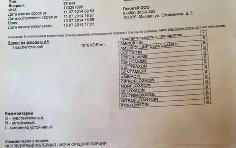 Сколько дней делается моча на антибиотики