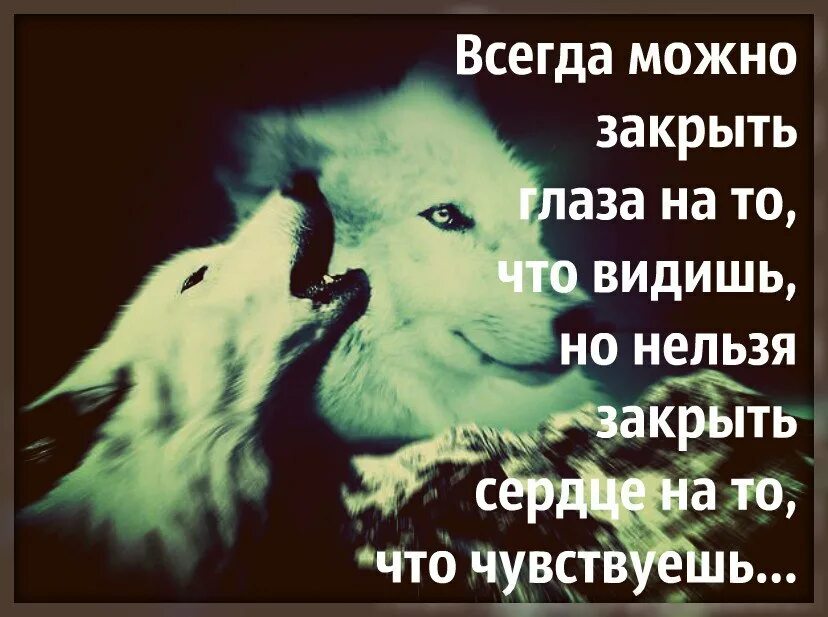 Может быть закрыта в таком