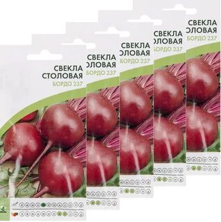 Свекла бордо 237