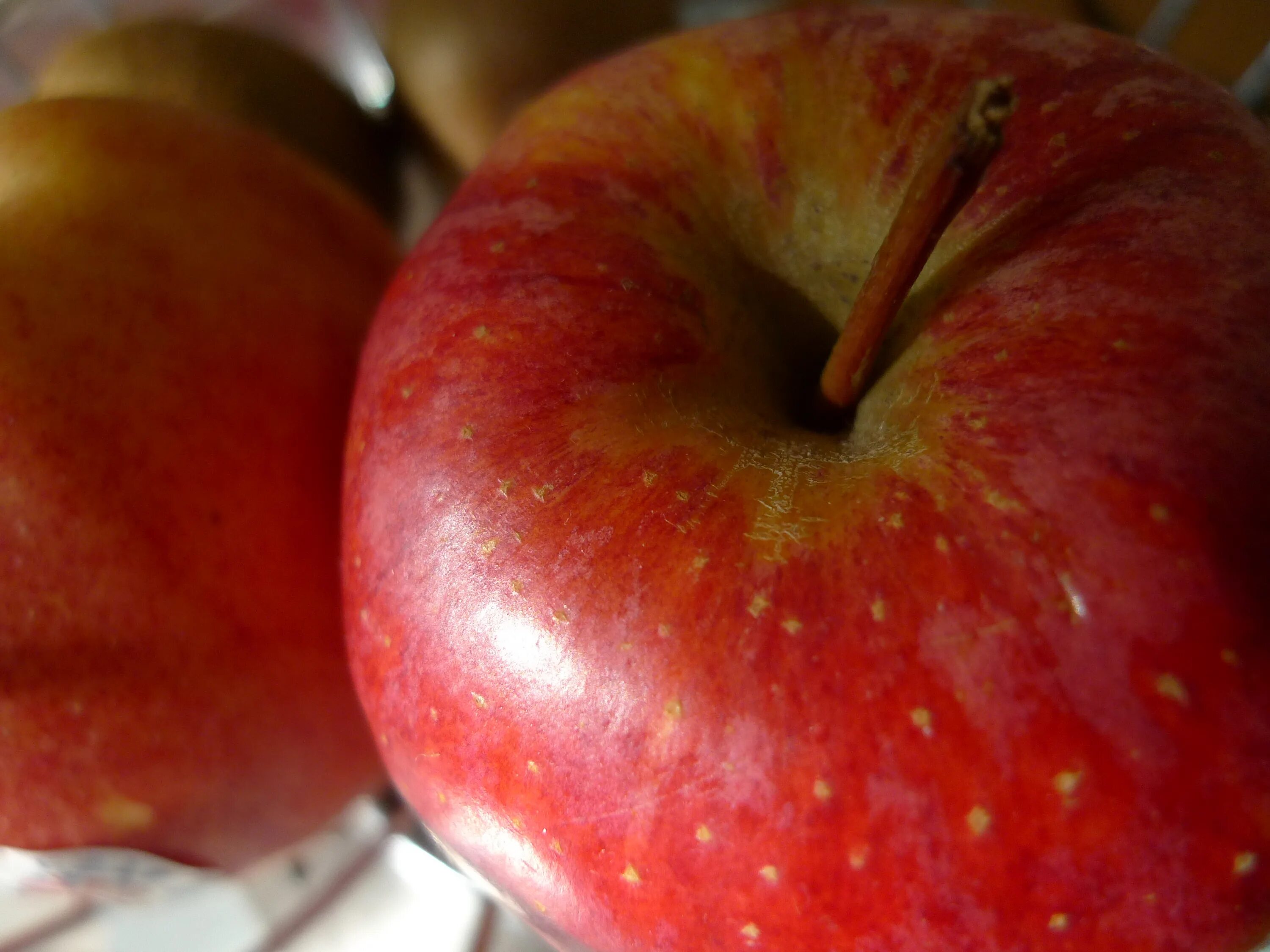 Сорта яблок. Красные яблоки сорта. Сорт красных сладких яблок. Яблоки в крапинку. Сорт крупных яблок