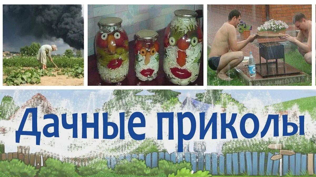 Дача прикольные картинки с надписями