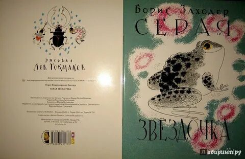 Заходер серая звездочка краткое