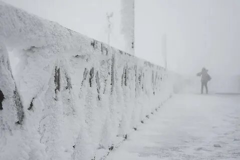 Through the snow