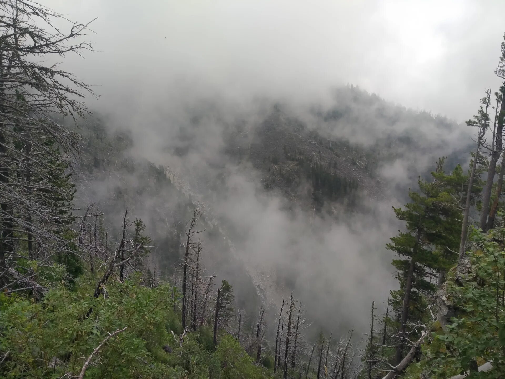 Санаторий саяны бурятия. Дацан аршан. Река кынгырга. Дорога на аршан в марте. Аршан 2023 год.