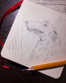 Sketch русский