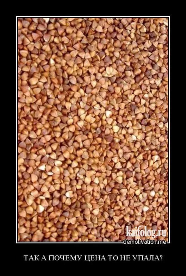 Гречка прикол. Анекдот прогречеу и кота. Смешная гречка. Гречка прикольные картинки. Смешные шутки про гречку.
