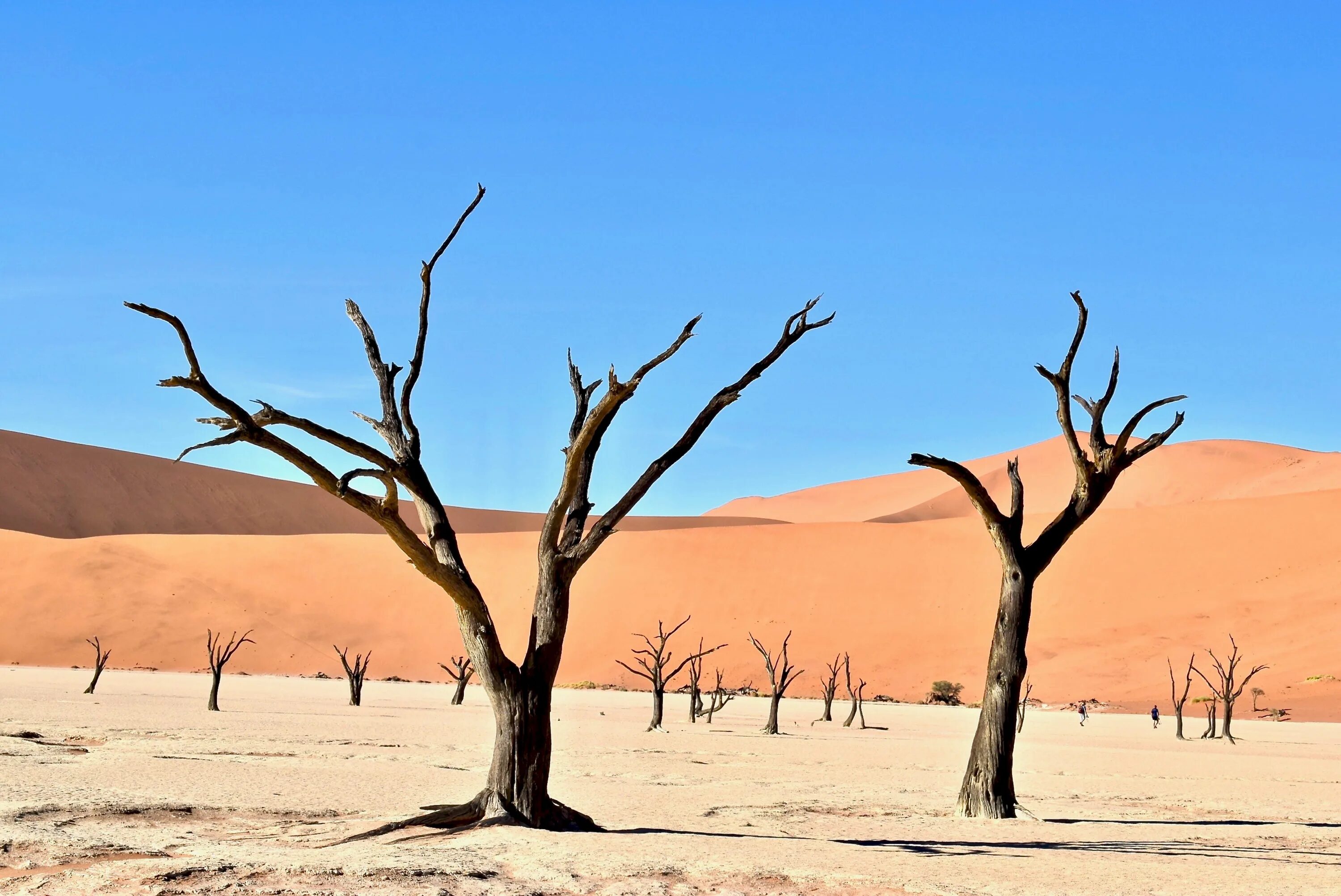 Экологические проблемы зоны пустынь и полупустынь. Полупустыня Сахель. Пустыня Сахель. Сахель опустынивание. Сахель Африка.