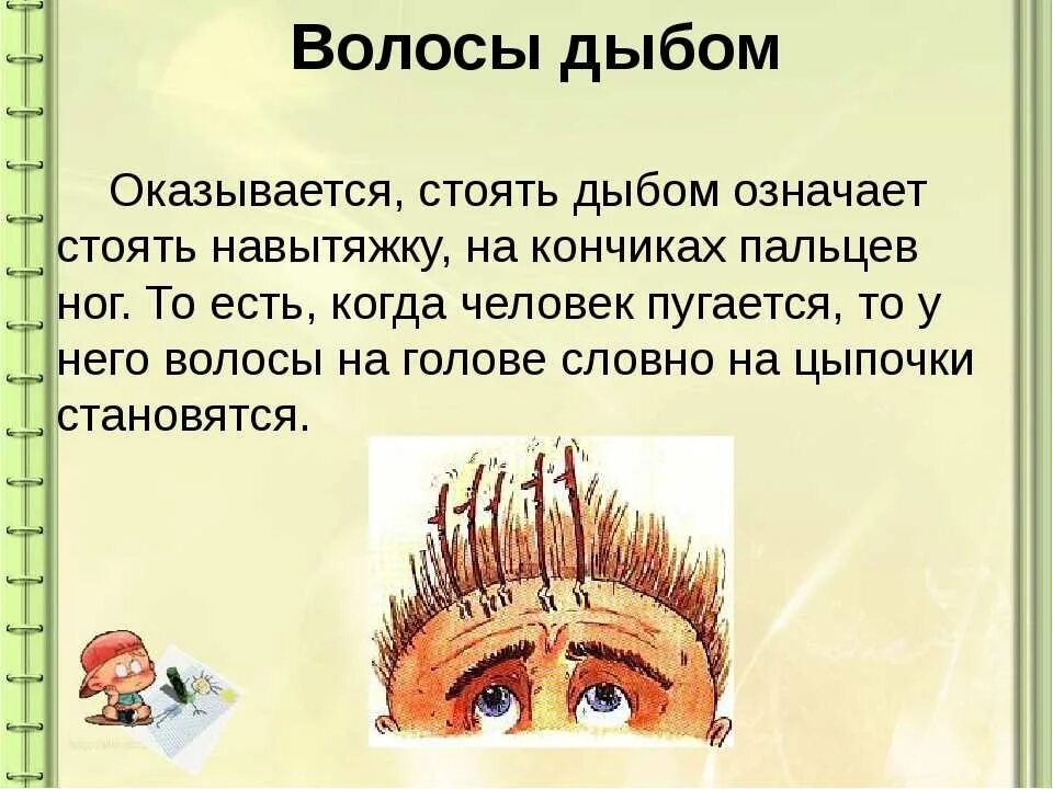 Какое происхождение волос. Волосы дыбом фразеологизм. Волосы встали дыбом фразеологизм. Фразеологизм с волосами. Волосы дыбом фразеологизм происхождение.