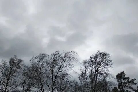 Май ветров