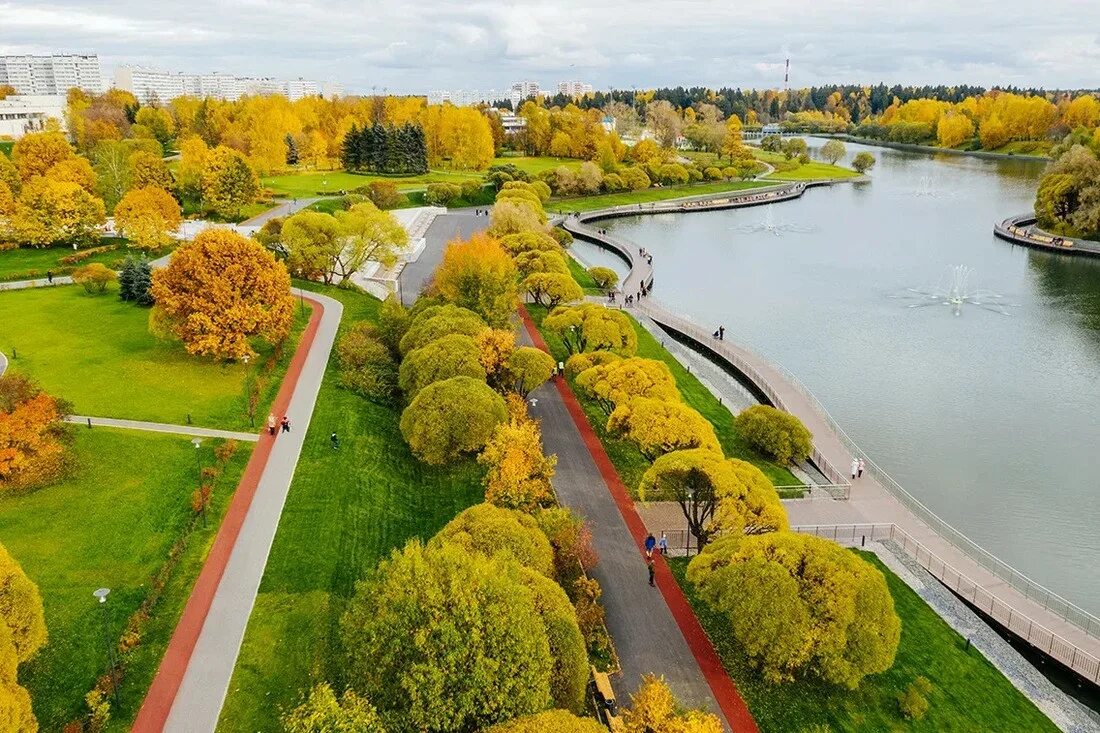 Парки где можно купить. Дендропарк Зеленоград. Парк городской лесопарк Зеленоград. Зеленоградский лесопарк Зеленоград. Дендрариум Зеленоград.