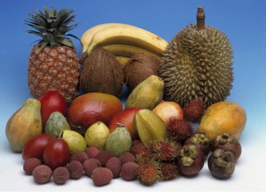 Экзотические фрукты. Экзотические фрукты и овощи. Южные фрукты. Экзотические продукты фрукты. Экзотические товары