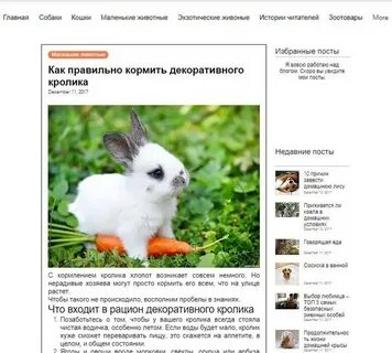 Чем кормить декоративного кролика