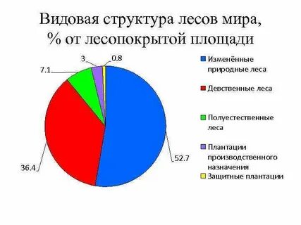 Анализ видового состава
