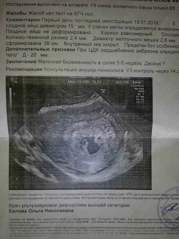 Самый маленький срок беременности. Плодное яйцо на 6 неделе беременности узи. Беременность на ранних сроках. Маленький срок беременности. Формирование плода по неделям беременности 1 триместр.