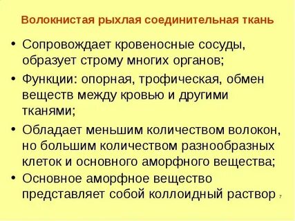 Соединительная ткань функции