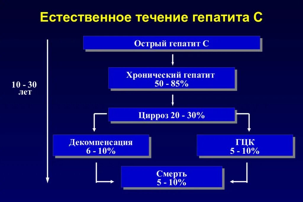 Фазы течения вирусного гепатита с. Естественное течение вирусного гепатита в. Стадии течения хронического гепатита.