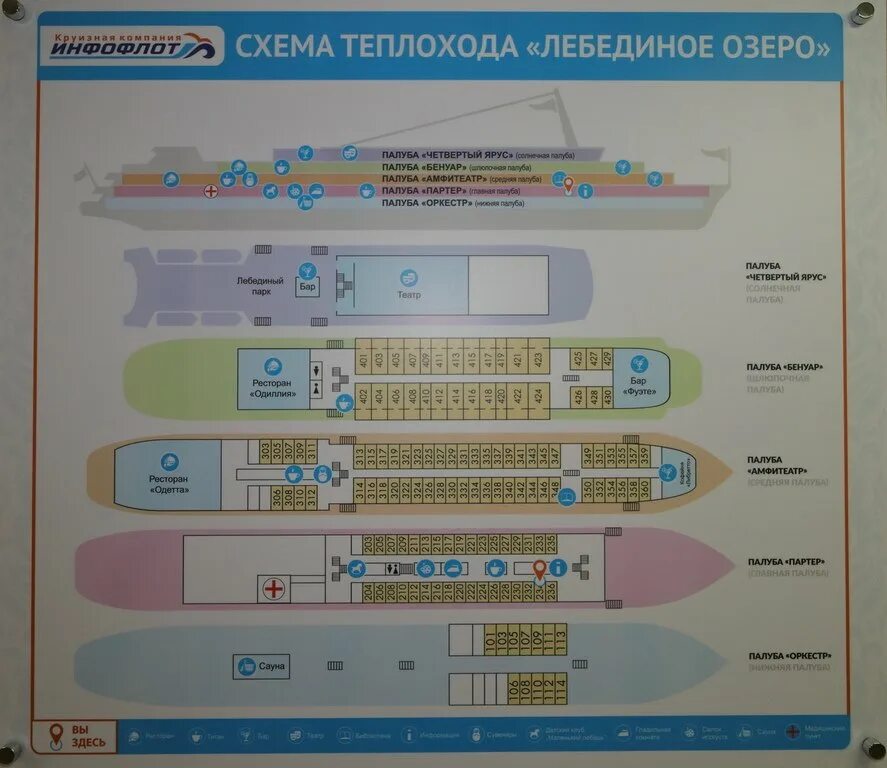 Теплоход Лебединое озеро расположение кают. Лебединое озеро теплоход схема кают. Лебединое озеро каюты теплоход схема расположения. Теплоход Лебединое озеро экипаж. Лебединое озеро расписание 2024