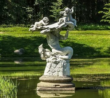 Китайский ломоносов