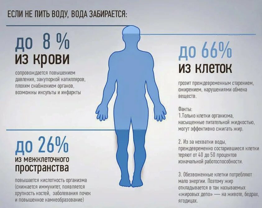 Смысл пить воду. Если не пить воду. Вода в организме. Нехватка воды в организме. Сколько пить воды.