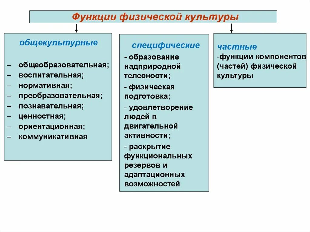 Функции физической культуры. Перечислить функции физической культуры. Функции физической культуры, которые относятся к биологическим. Одной из специфических функций физической культуры является. К функциям образования относят